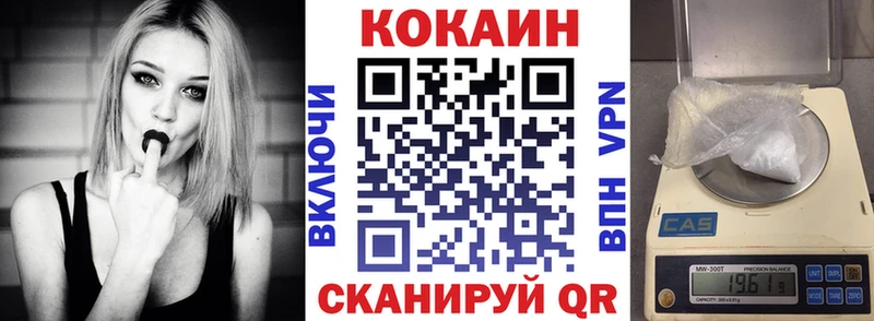COCAIN FishScale  Купить закладки  Новозыбков 
