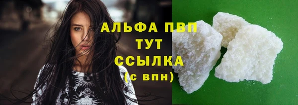 стаф Медногорск