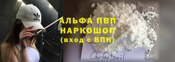 стаф Медногорск