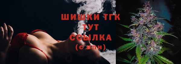 СК Мегион