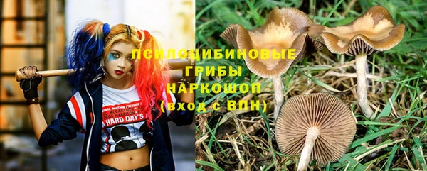 альфа пвп Медвежьегорск