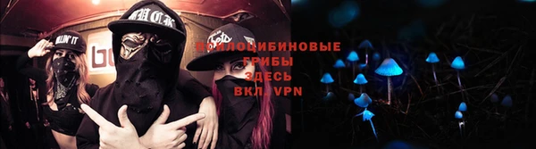 альфа пвп Медвежьегорск