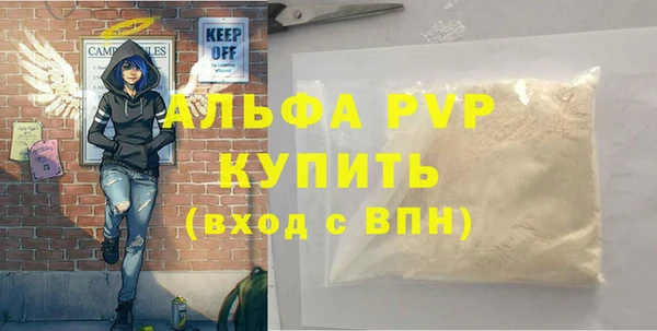 стаф Медногорск