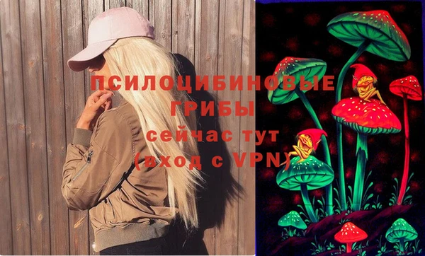 альфа пвп Медвежьегорск