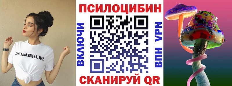 Галлюциногенные грибы GOLDEN TEACHER  Купить  Новозыбков 