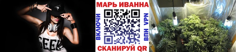 Купить где  Новозыбков  Марихуана индика 